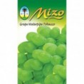 Essência Mizo - Uva Verde